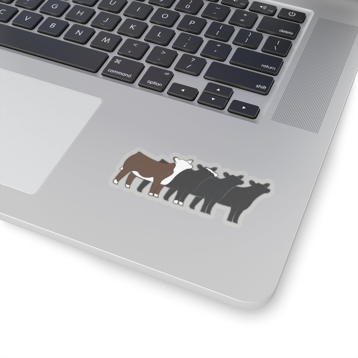 Multi-Breed Show Heifer Die Cut Stickers | Hereford, Angus, Simmental, Black Angus Show Heifers | Cattle Sticker | Show Heifer Sticker