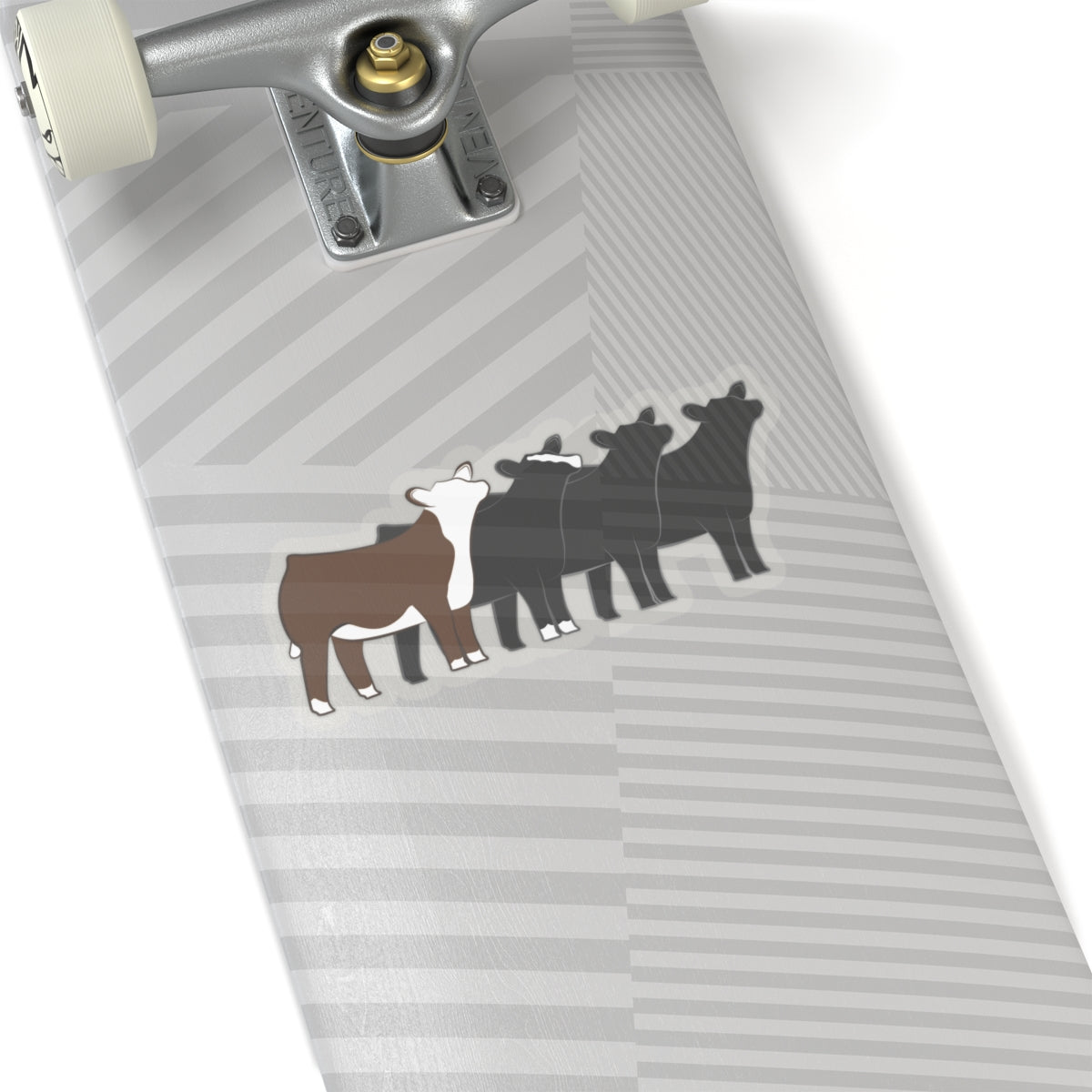 Multi-Breed Show Heifer Die Cut Stickers | Hereford, Angus, Simmental, Black Angus Show Heifers | Cattle Sticker | Show Heifer Sticker