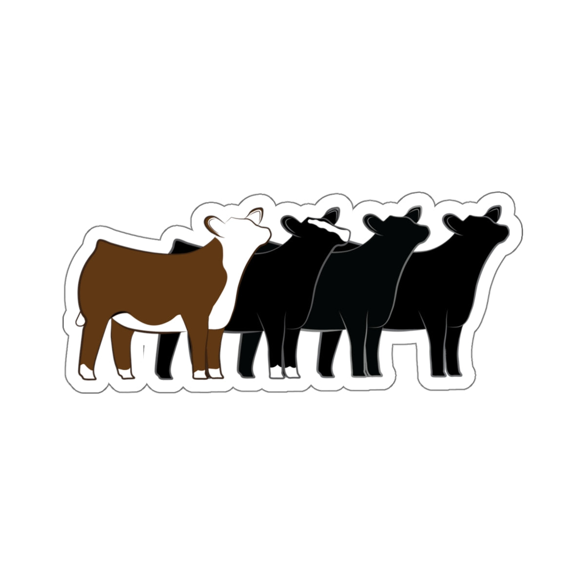 Multi-Breed Show Heifer Die Cut Stickers | Hereford, Angus, Simmental, Black Angus Show Heifers | Cattle Sticker | Show Heifer Sticker