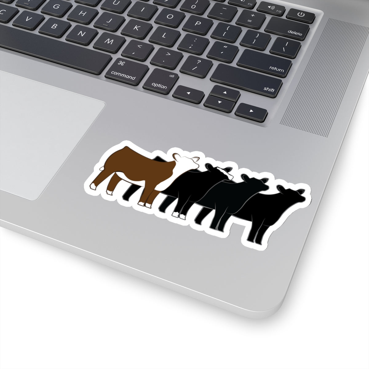 Multi-Breed Show Heifer Die Cut Stickers | Hereford, Angus, Simmental, Black Angus Show Heifers | Cattle Sticker | Show Heifer Sticker