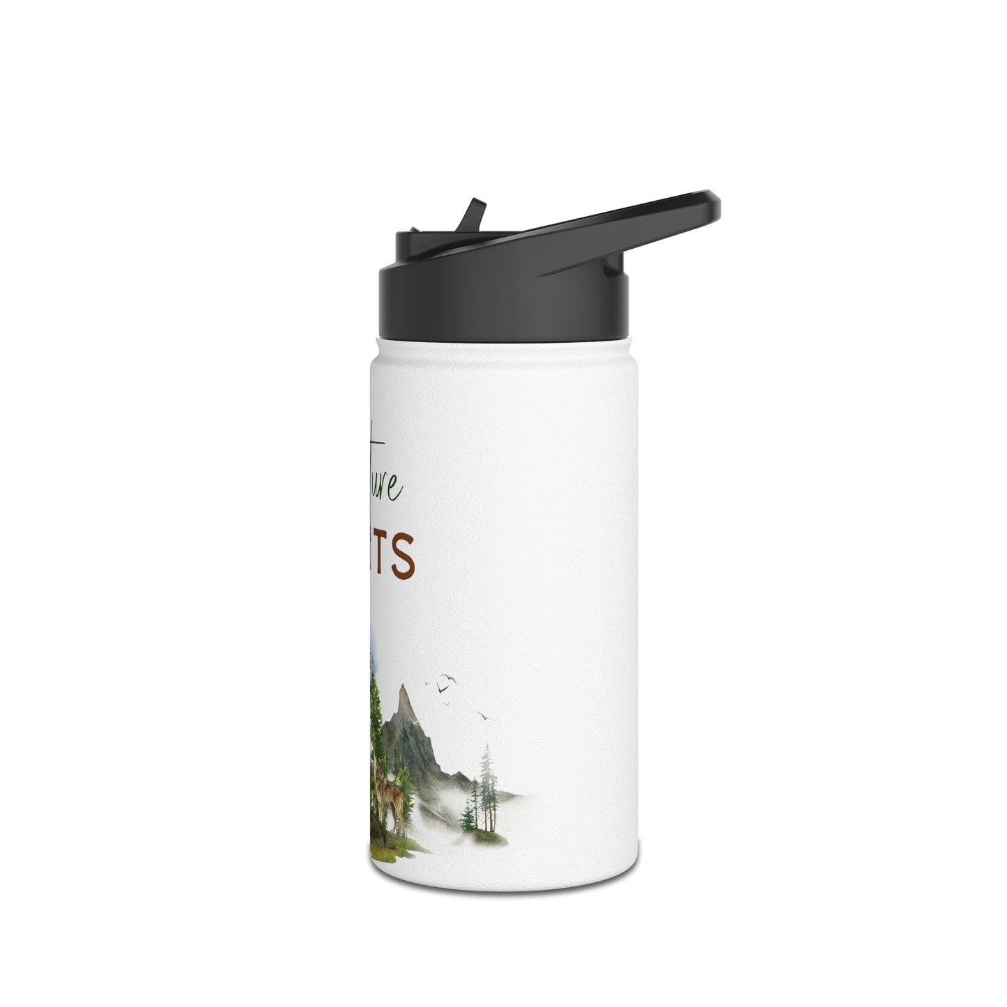 Stainless Steel Water Bottle, Standard Lid