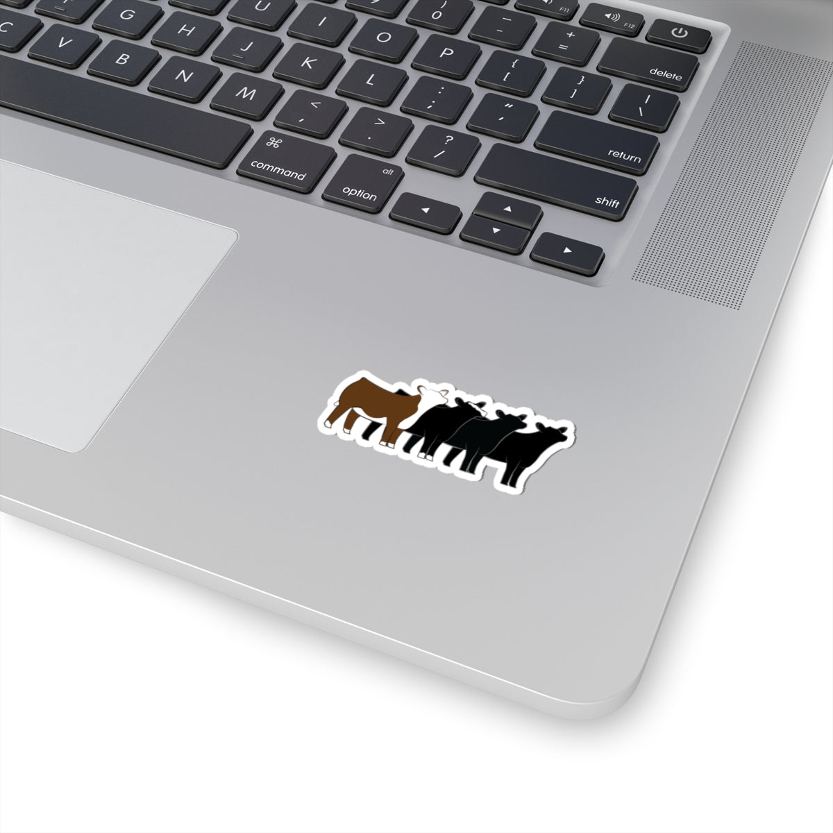 Multi-Breed Show Heifer Die Cut Stickers | Hereford, Angus, Simmental, Black Angus Show Heifers | Cattle Sticker | Show Heifer Sticker