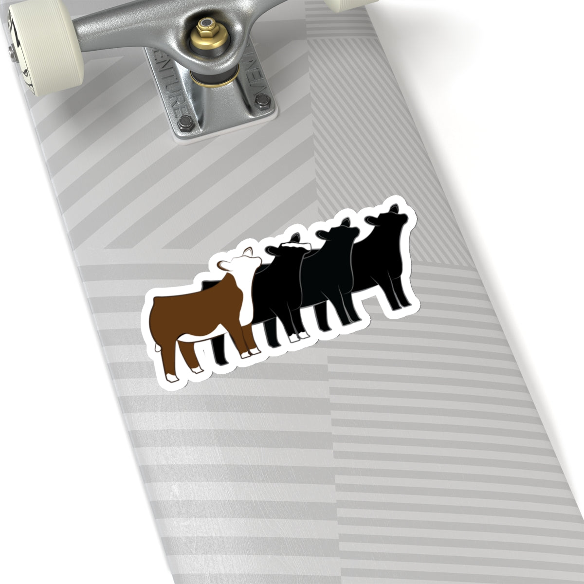 Multi-Breed Show Heifer Die Cut Stickers | Hereford, Angus, Simmental, Black Angus Show Heifers | Cattle Sticker | Show Heifer Sticker