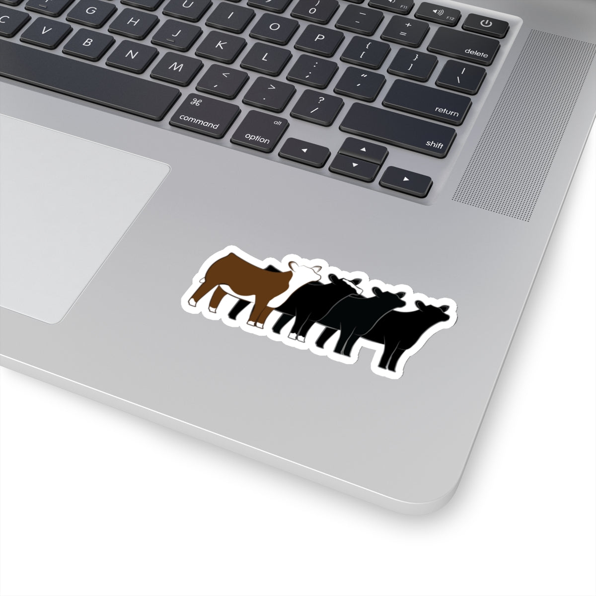 Multi-Breed Show Heifer Die Cut Stickers | Hereford, Angus, Simmental, Black Angus Show Heifers | Cattle Sticker | Show Heifer Sticker